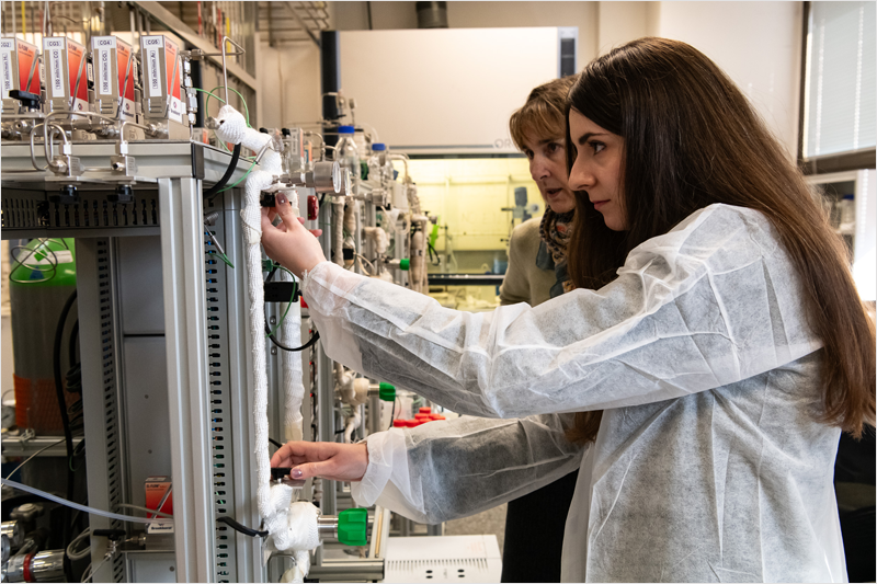 Investigadores del CSIC.