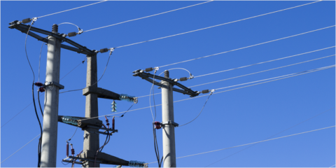 Ayudas para la corrección de tendidos eléctricos y protección de la avifauna en Andalucía