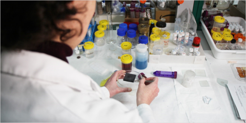El CSIC emplea la sepiolita para desarrollar nuevos materiales con diversas aplicaciones energéticas