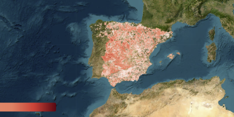 Nuevos mapas de SEO/BirdLife para compatibilizar las energías renovables con la biodiversidad