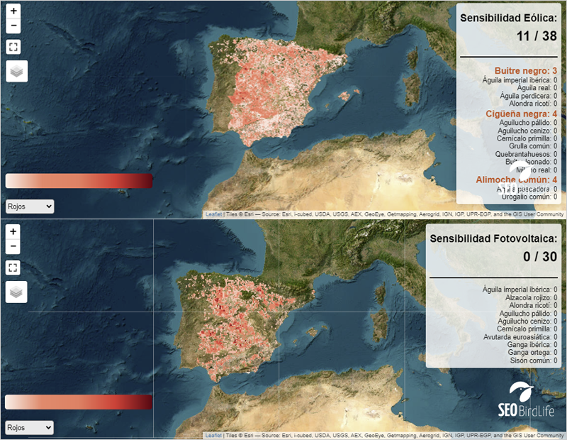 Nuevos mapas de SEO/BirdLife para compatibilizar las energías renovables con la biodiversidad