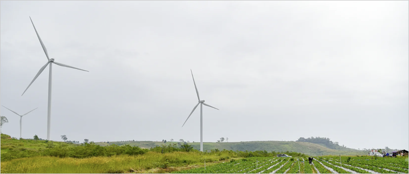 paisaje eólico