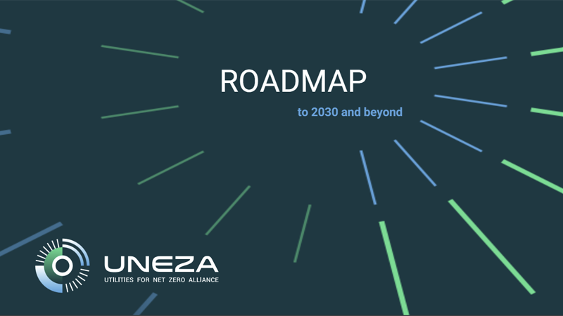 Hoja de Ruta de UNEZA hasta 2030
