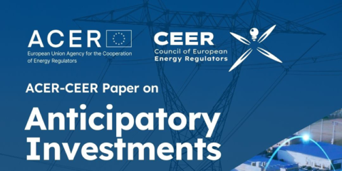Documento de ACER y CEER sobre inversiones anticipadas para la expansión de la red eléctrica
