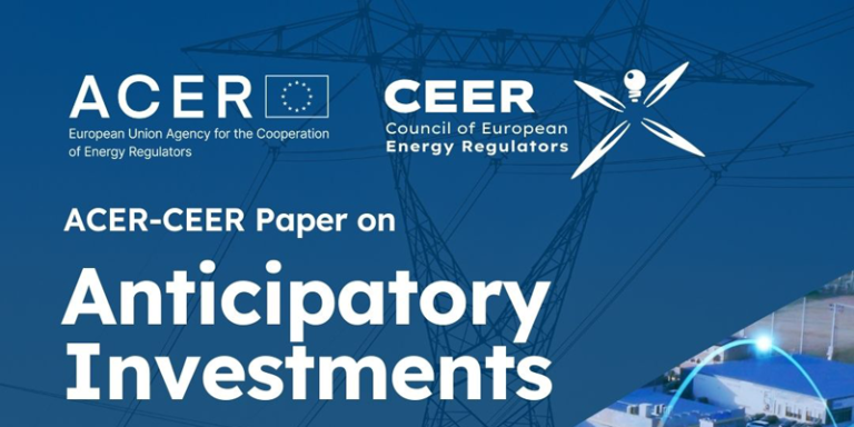 Informe de ACER y CEER sobre inversiones anticipadas para acelerar la expansión de la red eléctrica
