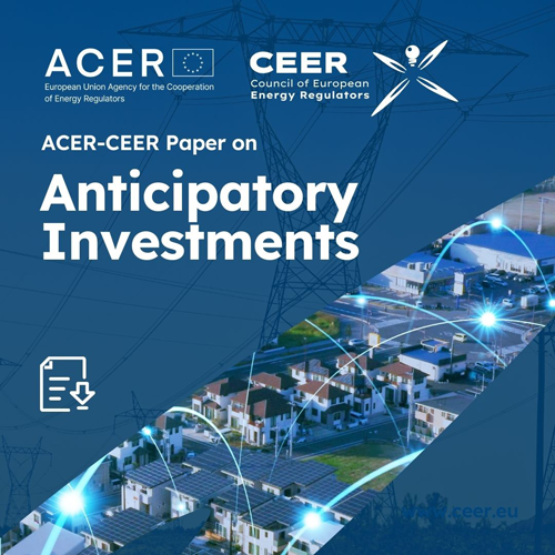 Informe de ACER y CEER sobre inversiones anticipadas para acelerar la expansión de la red eléctrica 