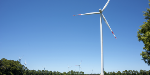 La iniciativa ReliaBlade2-NL creará tecnologías de monitorización para las palas de las turbinas eólicas