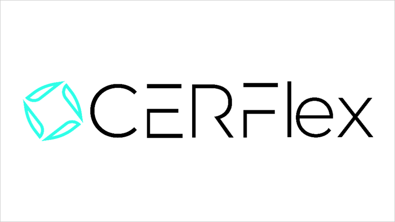 logo CERFlex 