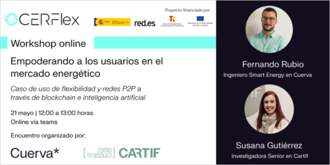 Workshop online del proyecto CERFlex para analizar nuevos modelos en el mercado energético