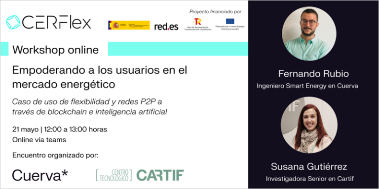 Workshop online ‘CERFlex: Empoderando a los usuarios en el mercado energético’