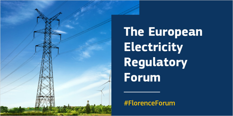 Foro Europeo de Regulación de la Electricidad