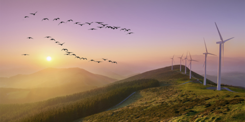 El municipio de Hornillos de Cerrato se alza con el Premio Eolo a la Integración Rural de la Eólica 2024