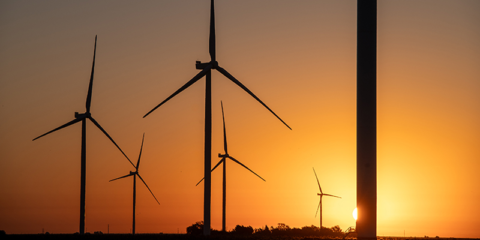 Un modelo de inteligencia artificial para el diseño de las plantas eólicas permite optimizar el uso de la tierra