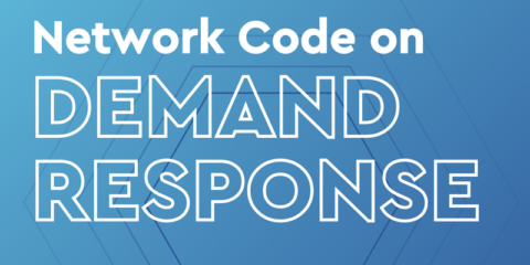 Propuesta conjunta de los TSO y DSO europeos para el Código de Red de Respuesta a la Demanda