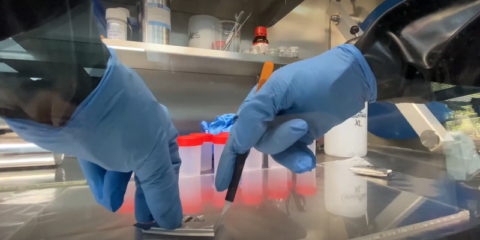 Los resultados del proyecto Batsens consiguen alargar la vida de las baterías de litio