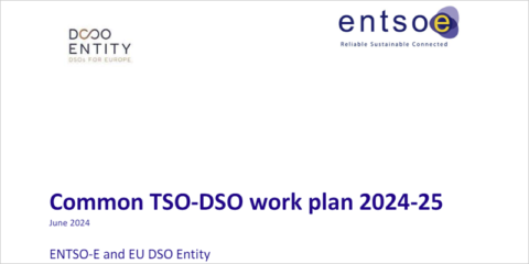 La digitalización y flexibilidad del sistema energético, presentes en el plan de los DSO y TSO europeos