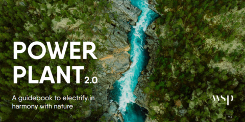 Una guía de Eurelectric orienta la integración de proyectos renovables y de red en el medio ambiente