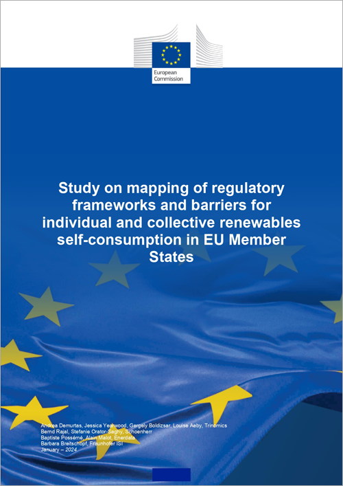 Informe de la Dirección General de Energía de la Comisión Europea.