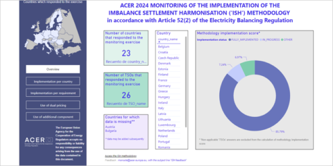 Nuevo panel interactivo para monitorear la armonización de la liquidación del desequilibrio eléctrico