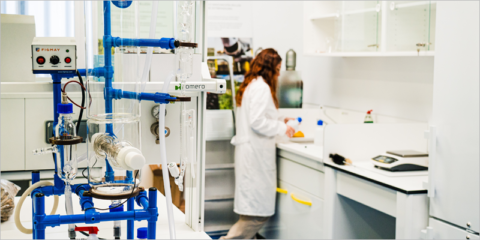 Financiación para investigar el marco jurídico del almacenamiento de energía en el proyecto DELaw