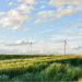 Nuevas directrices para implementar la directiva revisada de energías renovables en la legislación nacional