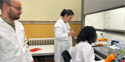 El Centro Ibérico de Investigación en Almacenamiento Energético ofrece nuevas plazas para investigadores
