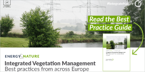 Guía sobre la gestión integrada de la vegetación dirigida a operadores europeos de redes eléctricas