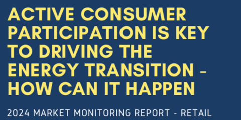 El informe ACER-CEER 2024 destaca el papel del consumidor activo para la transición energética