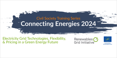 Webinars de Renewables Grid Initiative sobre tecnologías de redes eléctricas, flexibilidad y medición
