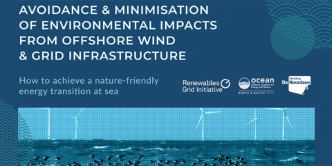Nuevo informe para prevenir y minimizar el impacto ambiental de la eólica marina y la red eléctrica