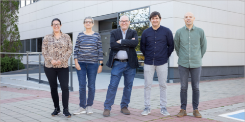 Nueva tecnología para reducir el coste de producir hidrógeno verde, objetivo del proyecto PeCATHS