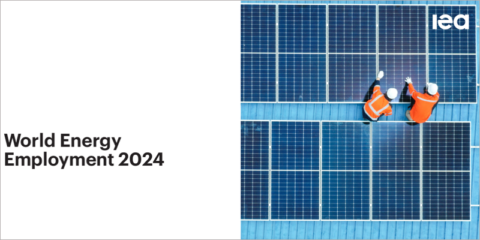 El empleo en el sector energético aumentó un 3,8% en el mundo en 2023, liderado por la energía limpia