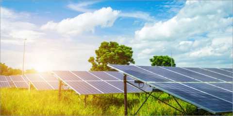 La generación renovable registra nuevos récords en 2024, crece un 11% y alcanza el 56% del mix