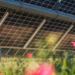 Un informe de SolarPower Europe examina los desafíos del sector solar en materia de sostenibilidad