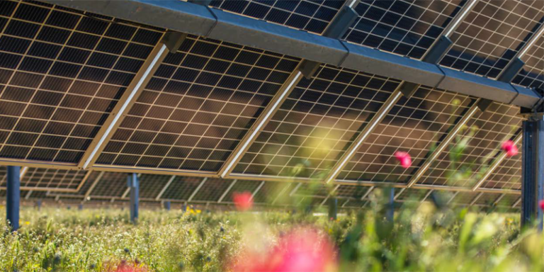 SolarPower Europe lanza un informe sobre sostenibilidad solar