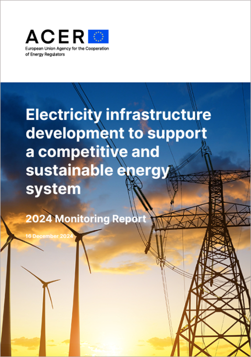 Informe de seguimiento de la infraestructura eléctrica