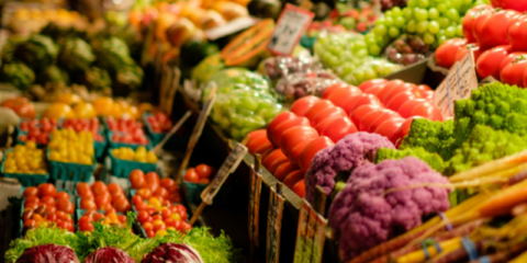 Más de 50 puntos de suministro energético en Mercabarna disponen de electricidad renovable