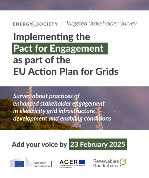  encuesta sobre la participación pública en el desarrollo de la infraestructura eléctrica europea