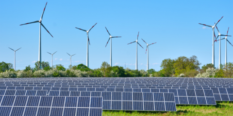 Las administraciones públicas autorizaron la construcción de 727 proyectos renovables en 2024