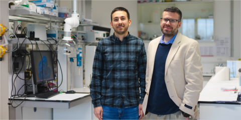 CIC energiGUNE investiga nuevos materiales para una producción eficiente de hidrógeno verde