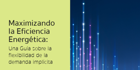 Nueva guía sobre la flexibilidad de la demanda implícita como pilar para la transición energética