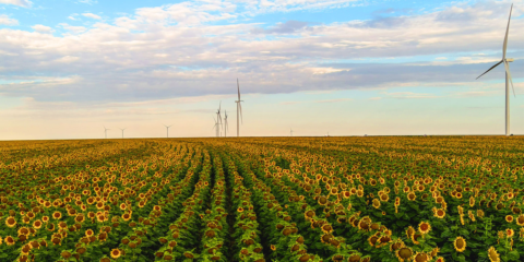 Amazon anuncia 17 nuevos proyectos renovables en España que sumarán más de 870 MW