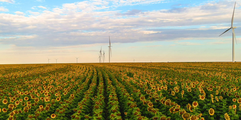 Los 17 nuevos proyectos renovables de Amazon en España sumarán una capacidad de más de 870 MW