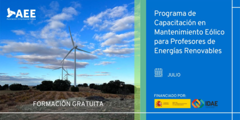 El IDAE y AEE lanzan un programa de capacitación en mantenimiento eólico para profesores de renovables