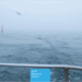 Análisis para proteger los cables submarinos para la infraestructura eléctrica y telecomunicaciones