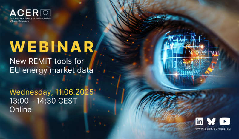 cartel del webinar