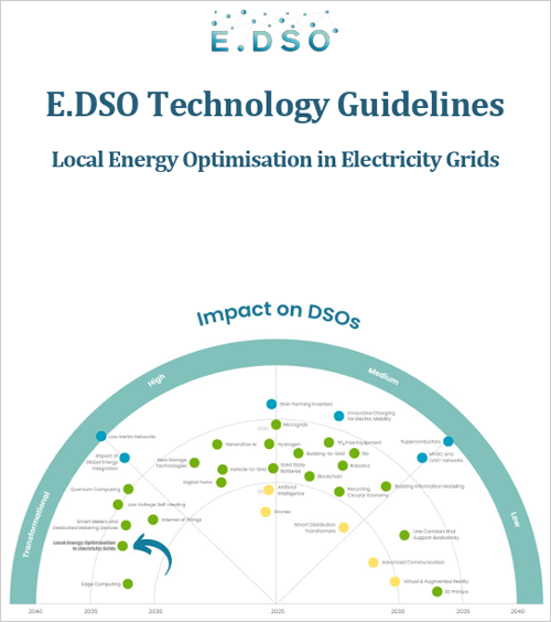 Directrices tecnológicas de E.DSO: Optimización energética local en redes eléctricas