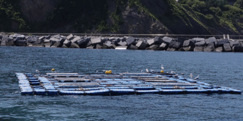 Ekiocean: Nuevas soluciones sostenibles para plantas fotovoltaicas flotantes situadas en entornos marinos