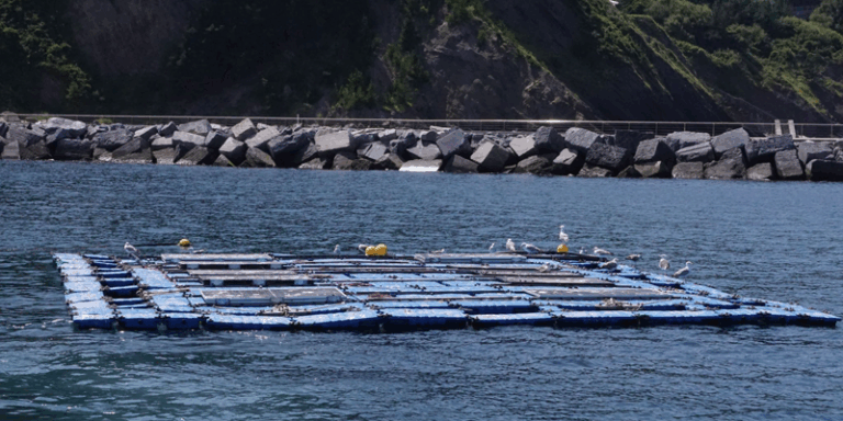 plataforma piloto de energía fotovoltaica flotante en Mutriku
