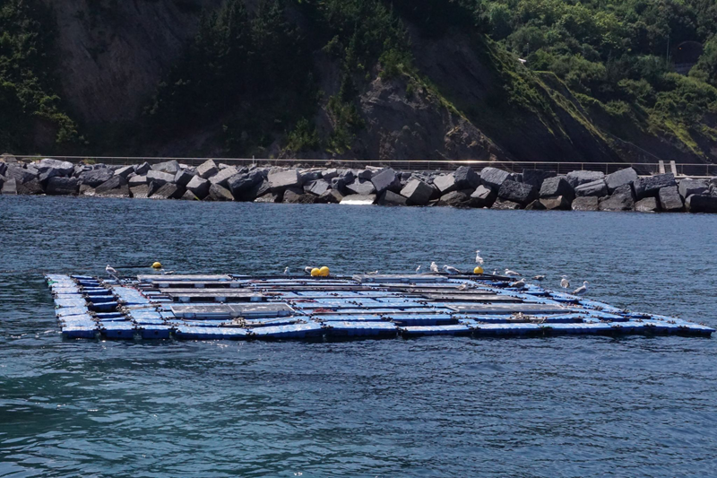 plataforma piloto de energía fotovoltaica flotante en Mutriku